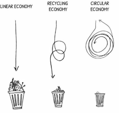 The Circular Economy: How Beyond Best Before is Leading the Way in Australia