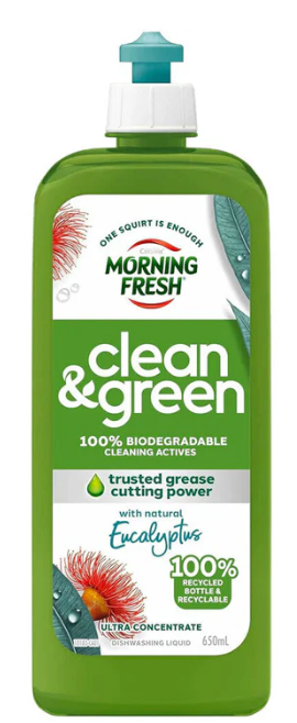 Morning Fresh Dishwashing 650ml